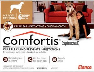 comfortis